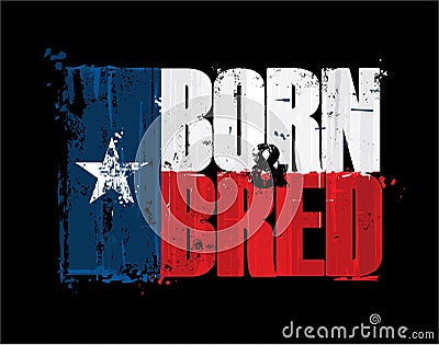 Texan Flag - Born n Bred Vector Illustration
